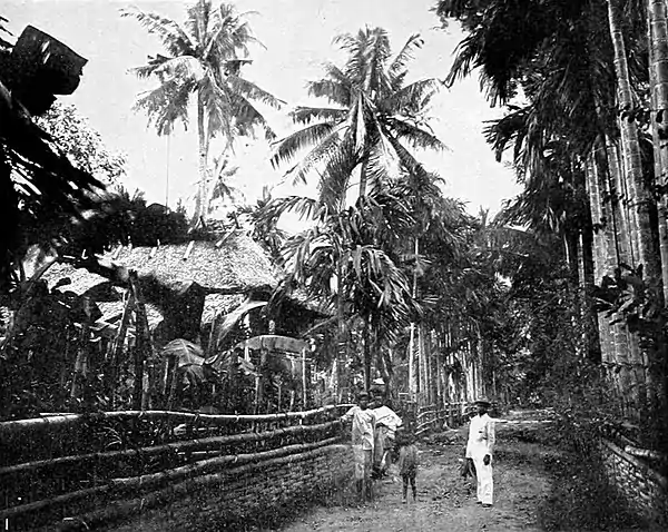 NIE 1905 Philippine Islands - Street scene - Malasiqui.jpg