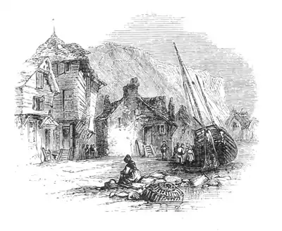 Natural History - Mollusca - Page 57.png