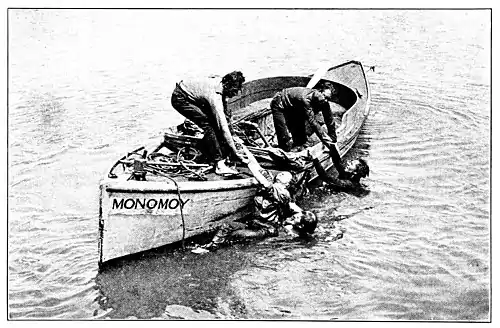 P 258--Trey o' hearts.jpg