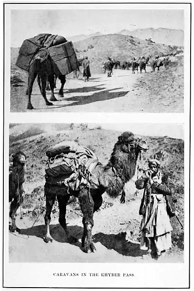 P 286--Winter India.jpg