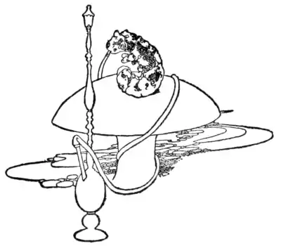 Page 058 Alice's Adventures in Wonderland (Carrol, Robinson, 1907).png