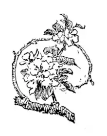 Page 55 illustration of The Happy Prince and Other Tales (1888).png