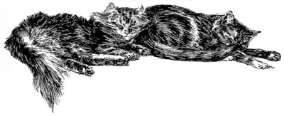 Page 81 illustration in The Fireside Sphinx.png