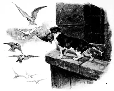 Page 82 illustration in The Fireside Sphinx.png