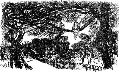 Peter Pan-Arthur Rackham-067.jpg