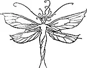 Peter Pan-Arthur Rackham-110.jpg