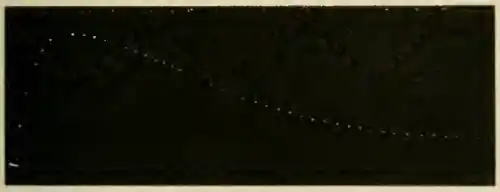 Researches on Irritability of Plants, fig. 16.png