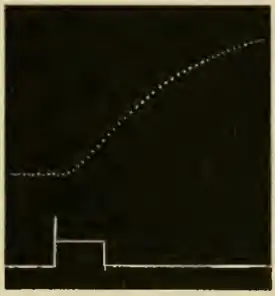 Researches on Irritability of Plants, fig. 21.png