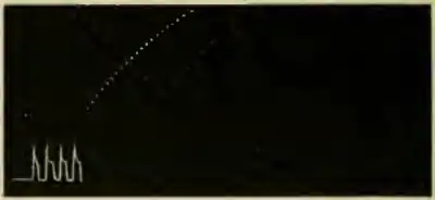 Researches on Irritability of Plants, fig. 22.png