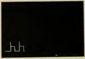 Researches on Irritability of Plants, fig. 24.png