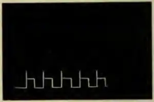 Researches on Irritability of Plants, fig. 25.png