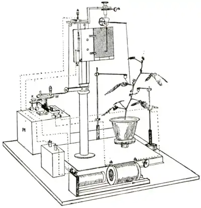 Researches on Irritability of Plants, fig. 66.png