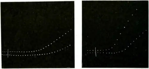 Researches on Irritability of Plants, fig. 75, 76.png
