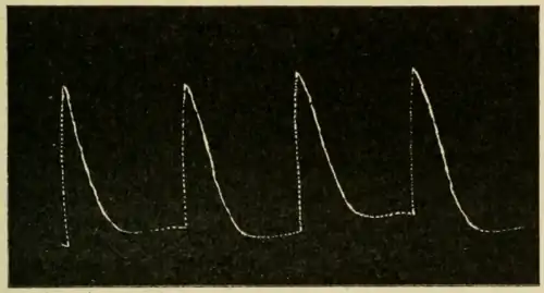 Researches on Irritability of Plants, fig. 8.png