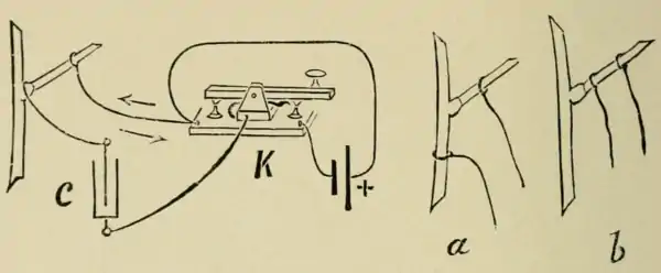Researches on Irritability of Plants, fig. 9.png