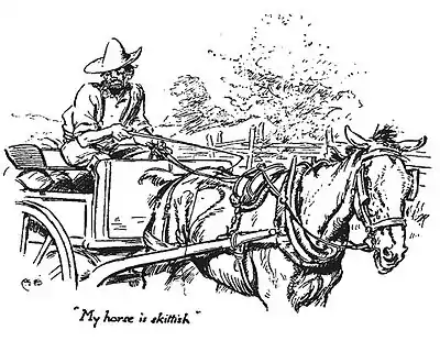 My horse is skittish