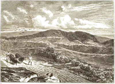 Scene from Galilee.png