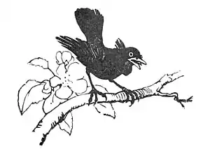 Sing A Song for Sixpence pg 32.jpg