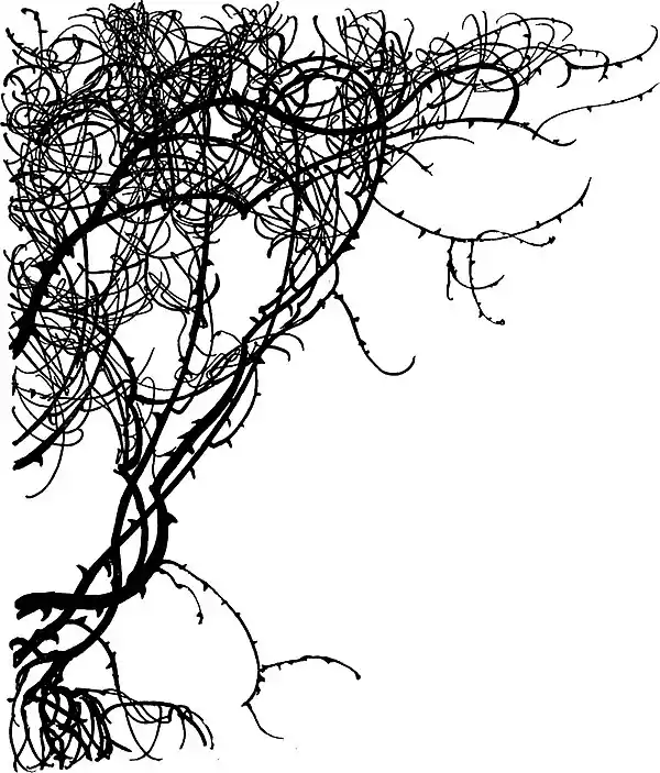 Sleeping Beauty-Evans-Rackham-081.jpg