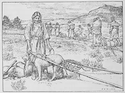 The American Indian Fig 11.jpg