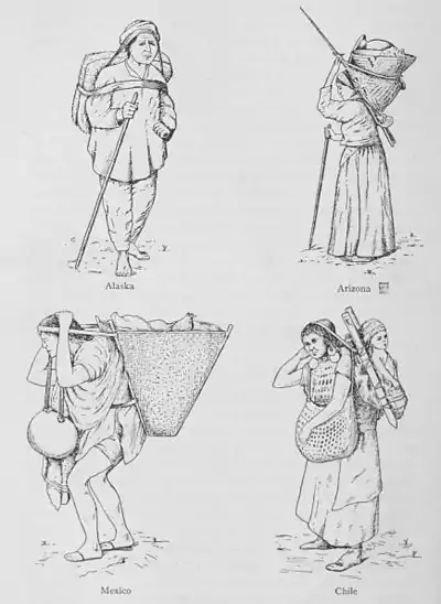 The American Indian Fig 12.jpg