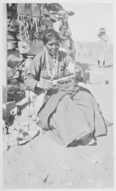 The American Indian Fig 15.jpg