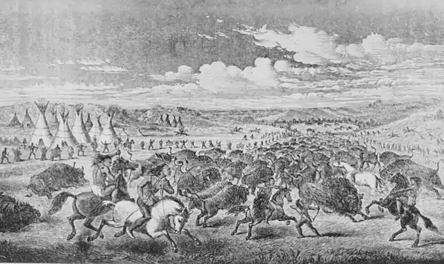 The American Indian Fig 2.jpg