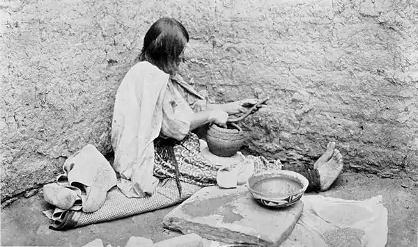 The American Indian Fig 25.jpg