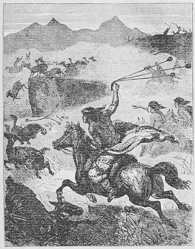 The American Indian Fig 3.jpg