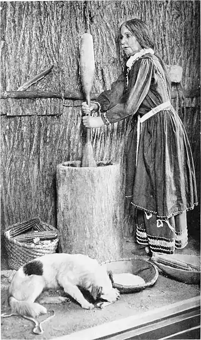 The American Indian Fig 4.jpg