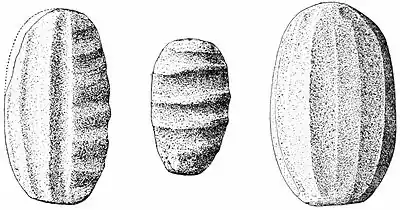 The American Indian Fig 55.jpg