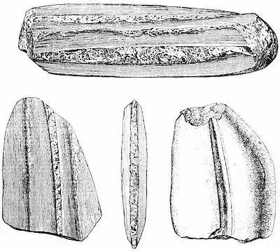 The American Indian Fig 56.jpg