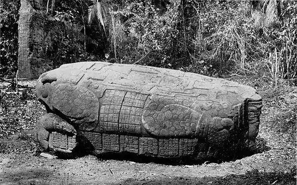 The American Indian Fig 63.jpg