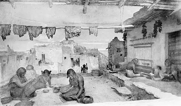 The American Indian Fig 71.jpg