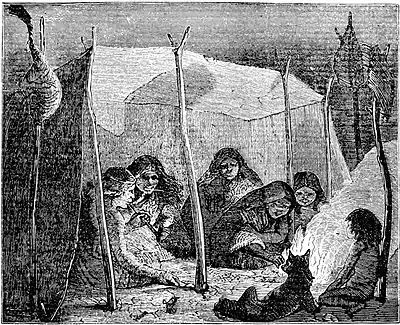 The American Indian Fig 72.jpg