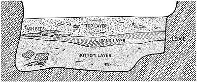 The American Indian Fig 78.jpg