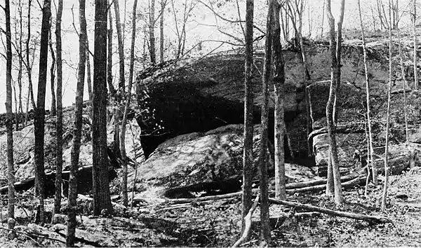 The American Indian Fig 79.jpg