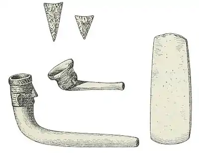 The American Indian Fig 80.jpg