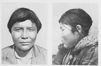 The American Indian Fig 89u.jpg