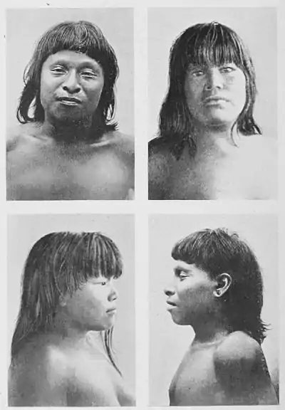 The American Indian Fig 90.jpg
