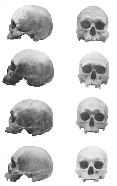 The American Indian Fig 93.jpg