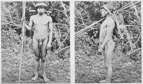 The American Indian Fig 94.jpg