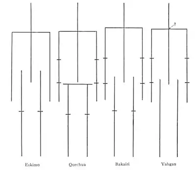 The American Indian Fig 95.jpg