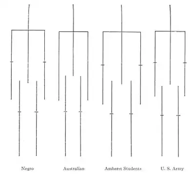 The American Indian Fig 96.jpg