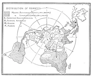 The American Indian Fig 97.jpg