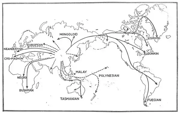 The American Indian Fig 99.jpg
