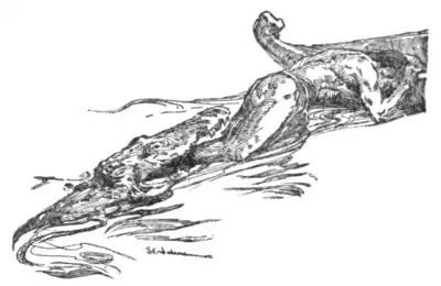 The Beasts of Tarzan - p 230.png