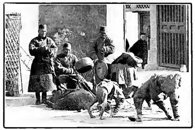 The Chinese Boy and Girl page 157.png