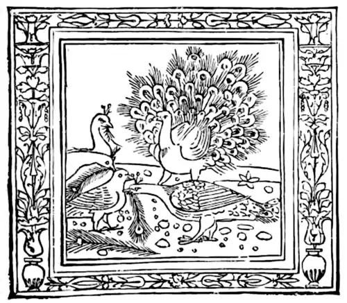 The Crow and the Peacock.png