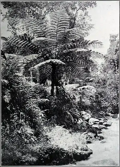 The Evolution of Worlds 0213.jpg